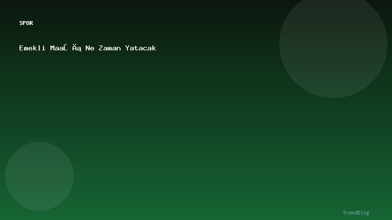 Emekli Maaşı Ne Zaman Yatacak